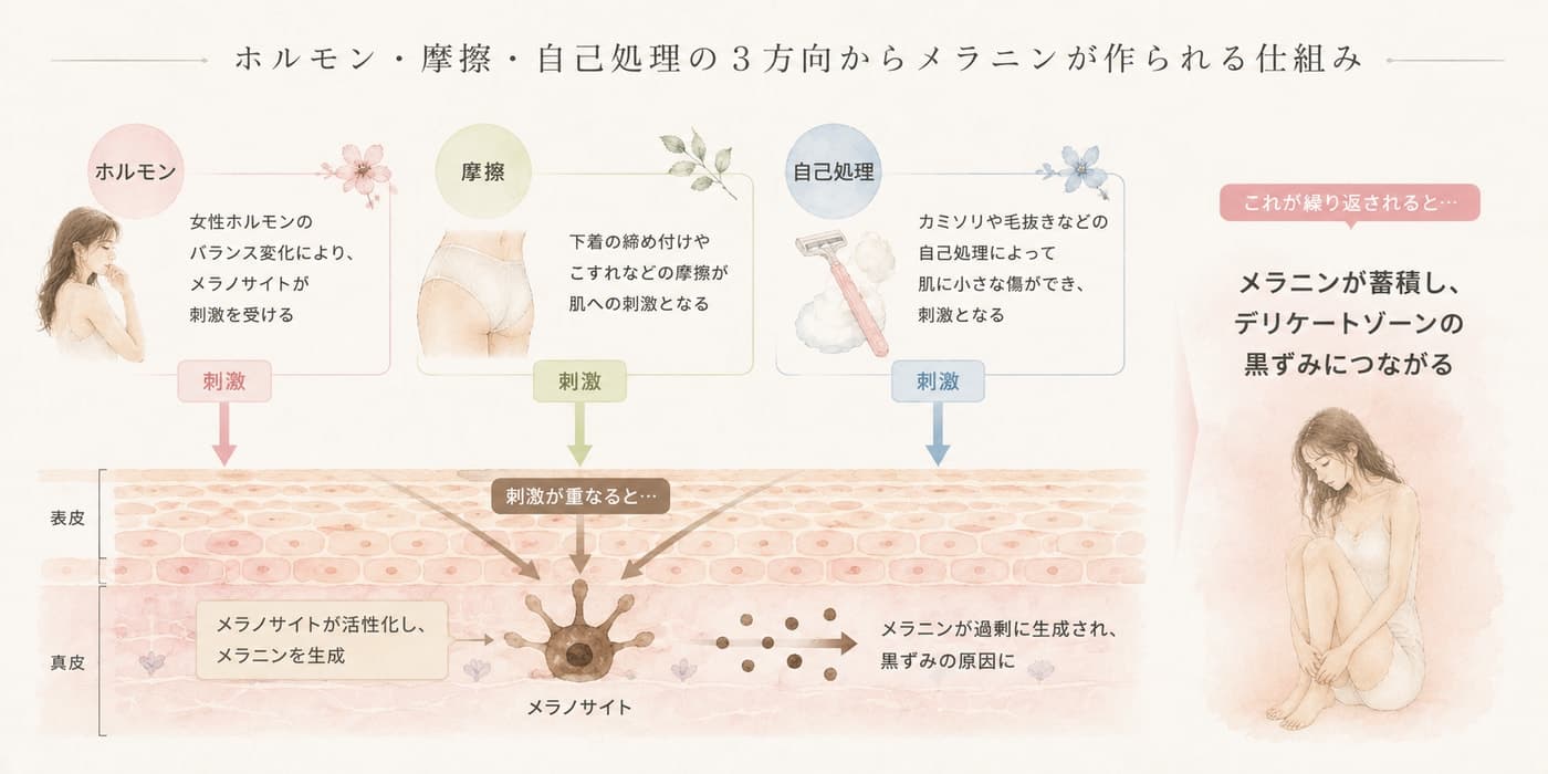 ホルモン・摩擦・自己処理の3方向からメラニンが作られる仕組み