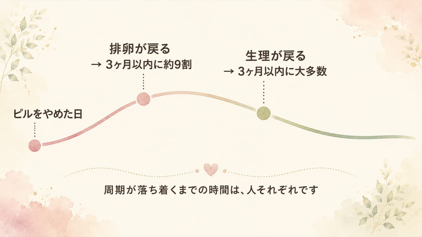 ピルをやめてからの体の戻り方(今の自分がどのあたりか、目安にしてみてください)
