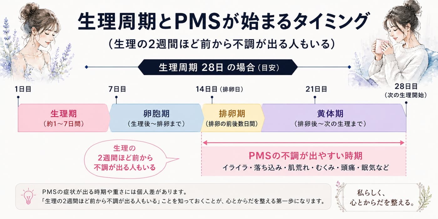 生理周期とPMSが始まるタイミング(生理の2週間ほど前=排卵後の黄体期から不調が出る人もいる)